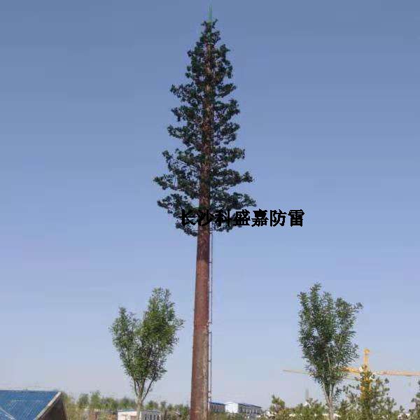 這是什么？看到圖先猜猜再進(jìn)來，猜對(duì)了的都是公雞中的戰(zhàn)斗機(jī)